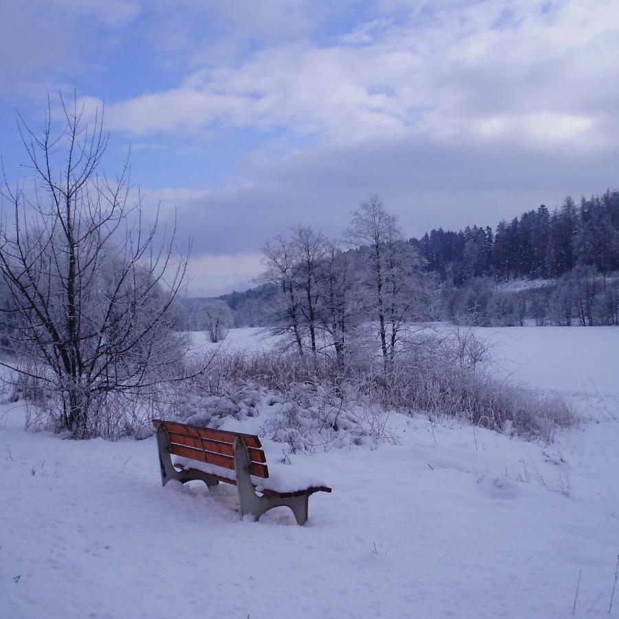 Feriendomizil-Sauerland Fewo 1 Medebach Exteriör bild